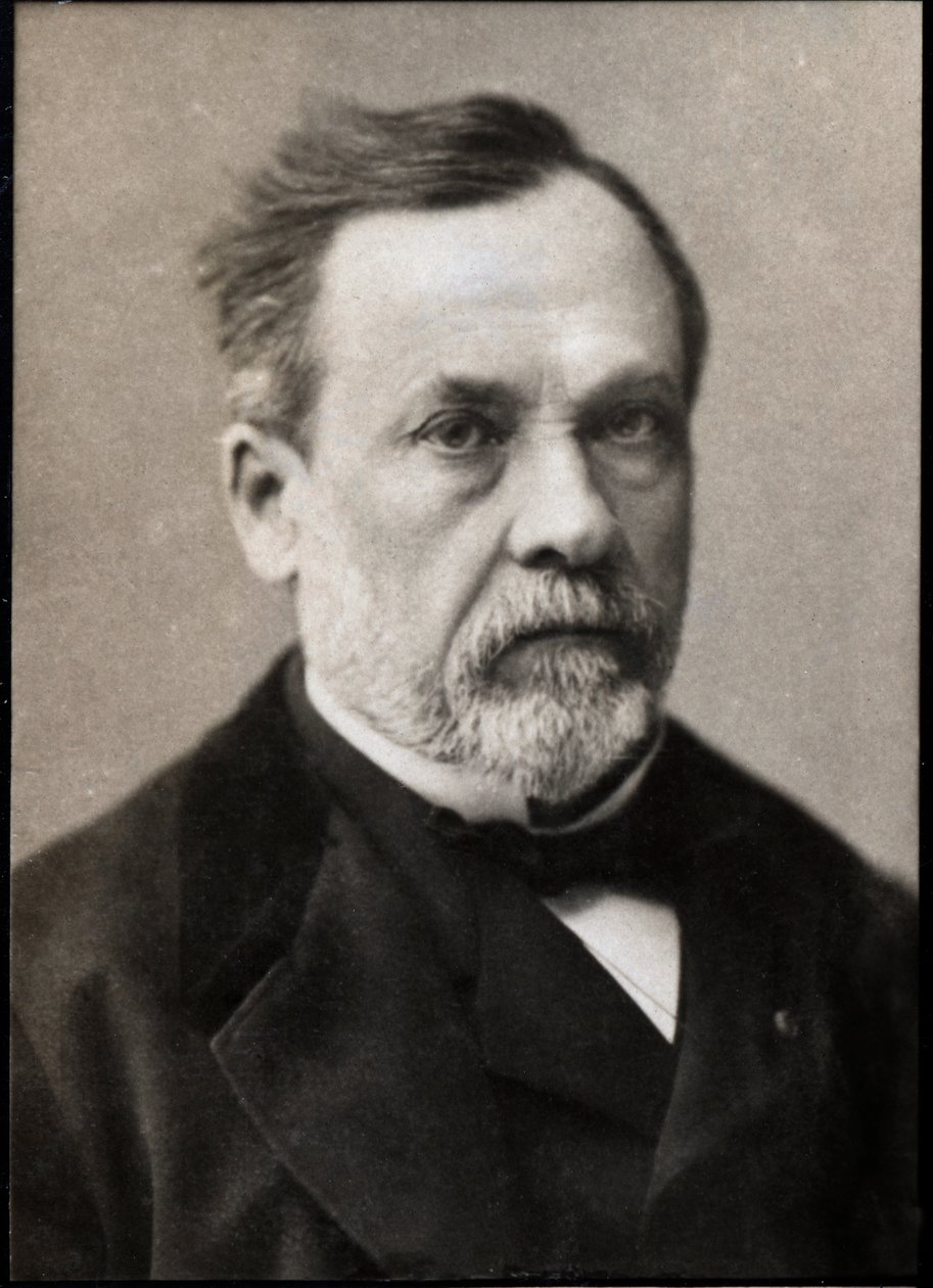 Retrato de Louis Pasteur (1822-1895), químico y microbiólogo francés de French Photographer
