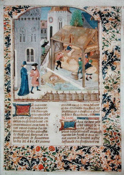 Ms 5064 fol.35r Trilla, del Libro de los Beneficios Campestres por Pietro de Crescenzi de French School