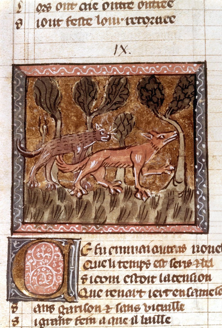 El zorro y el lobo, iluminación del manuscrito titulado Roman de Renart (La novela del zorro), c. siglo XIII de French School