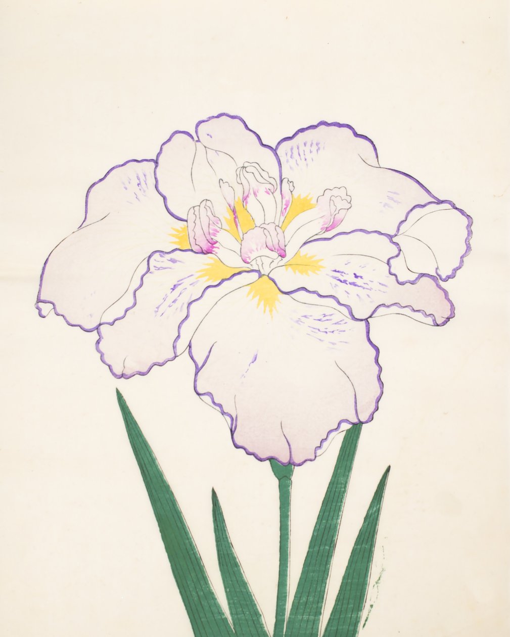 Tanporo, No. 51, 1890 de Japanese School