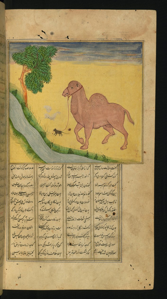 Un ratón, agarrando las riendas de un camello, en un arroyo, ilustración de A Collection of Poems, por Jalal al-Din Rumi, 1663 de Persian School