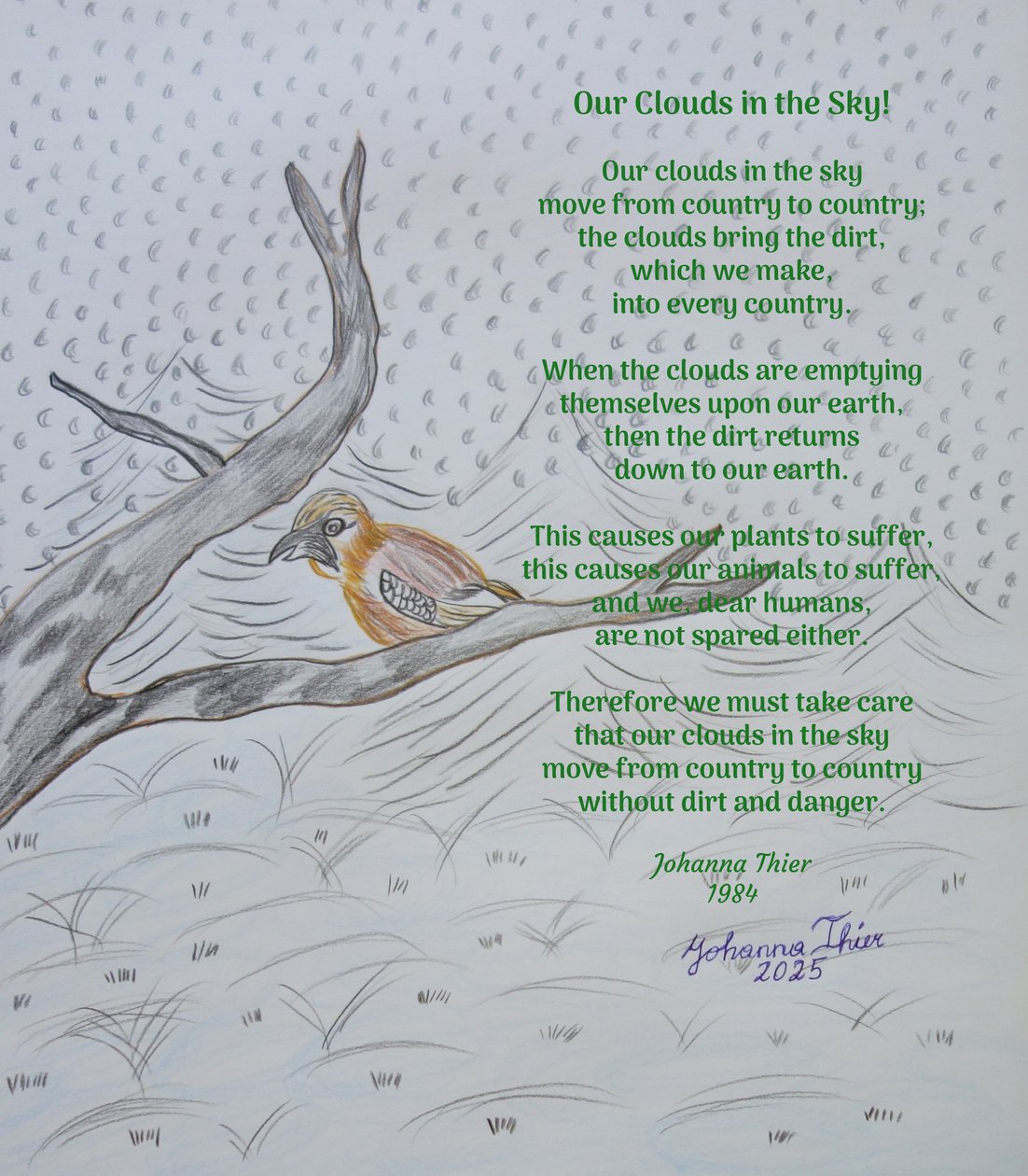 Nuestras nubes en el cielo de Johanna Thier