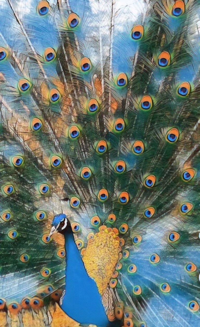 Pavo Real. de Margareta Uliarte