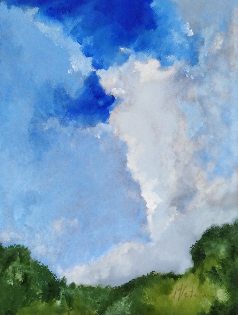 Seto y nubes de M. Vet