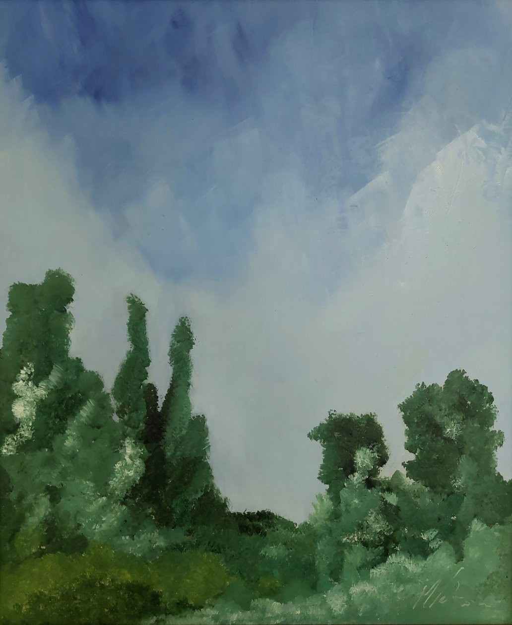 Nubes sobre el bosque de M. Vet