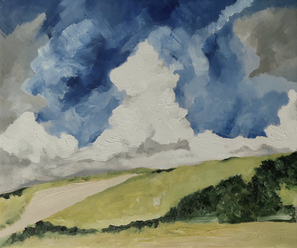 Nubes de primavera de M. Vet