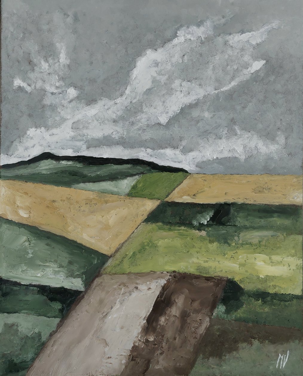Campos de M. Vet