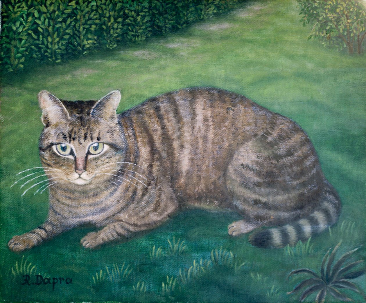 La gata Julia de Regine Dapra