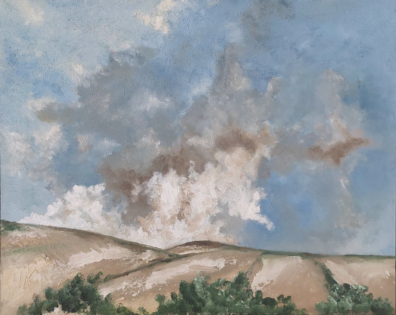 Nubes marrones de M. Vet