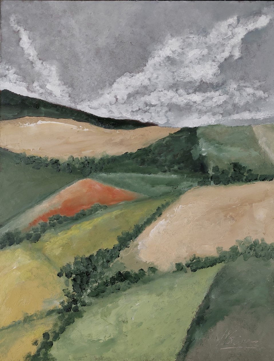 Setos entre campos de M. Vet