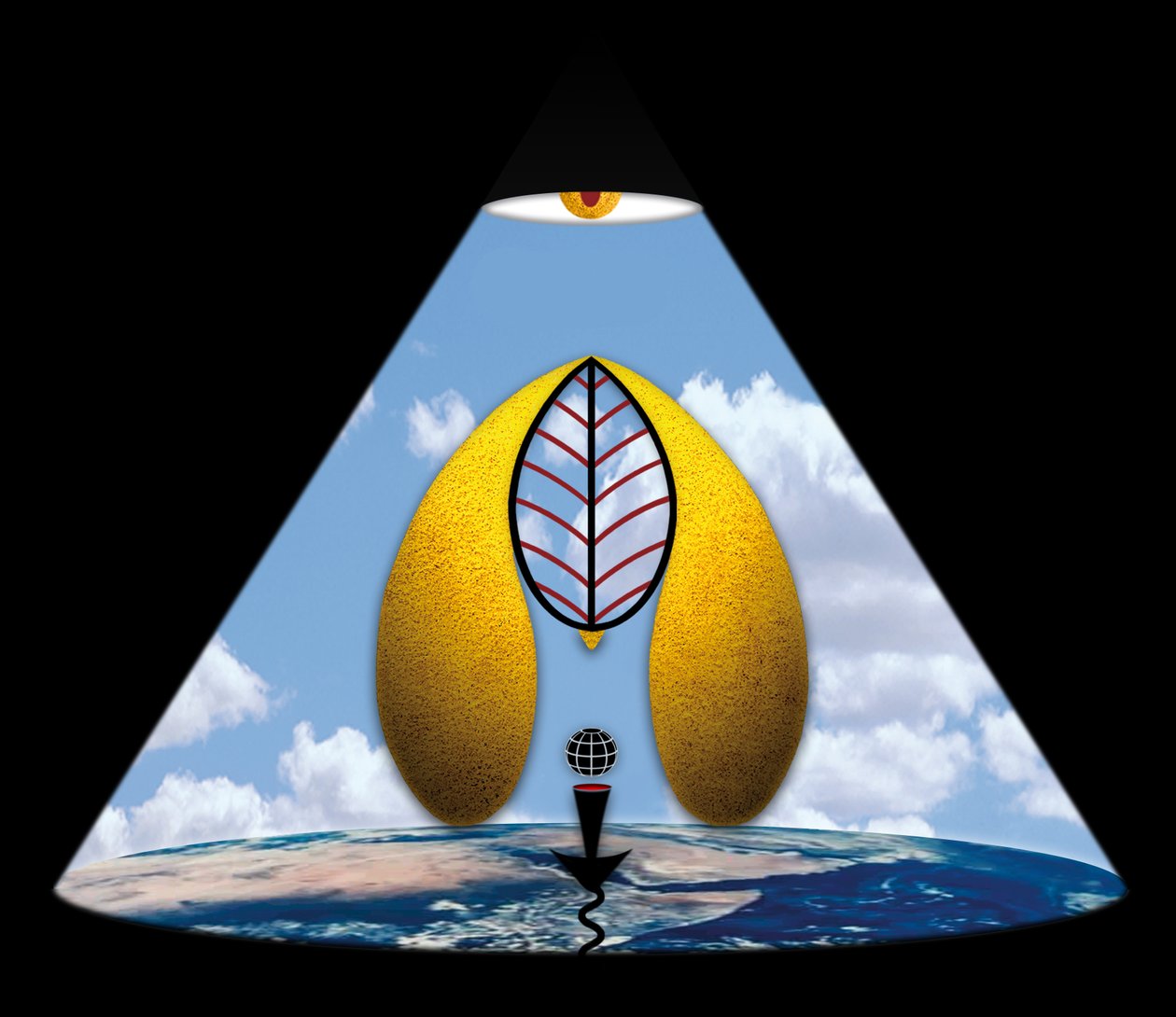 Im Anfang war das Wort (aus der Serie Lichtung) de Alexander Eibach