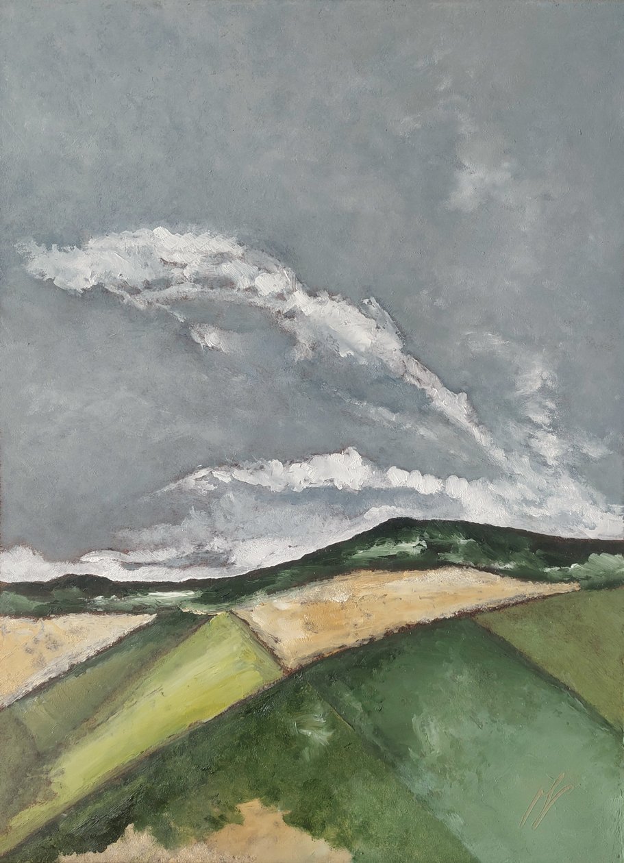 Después de la lluvia  de M. Vet