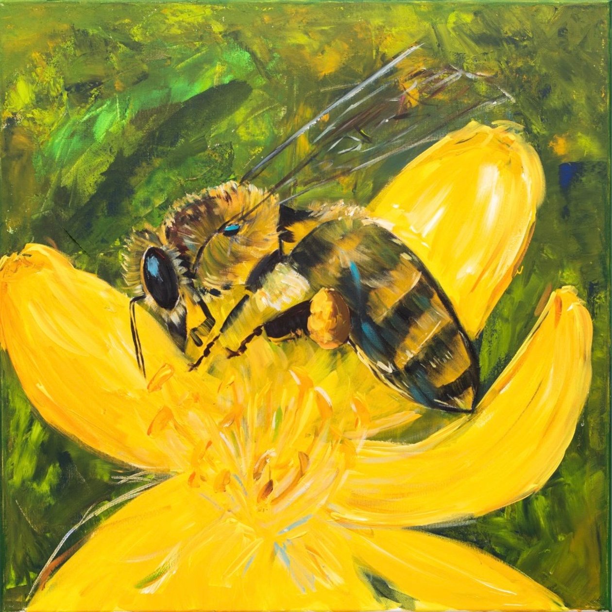 En el paraíso de H.Opitz