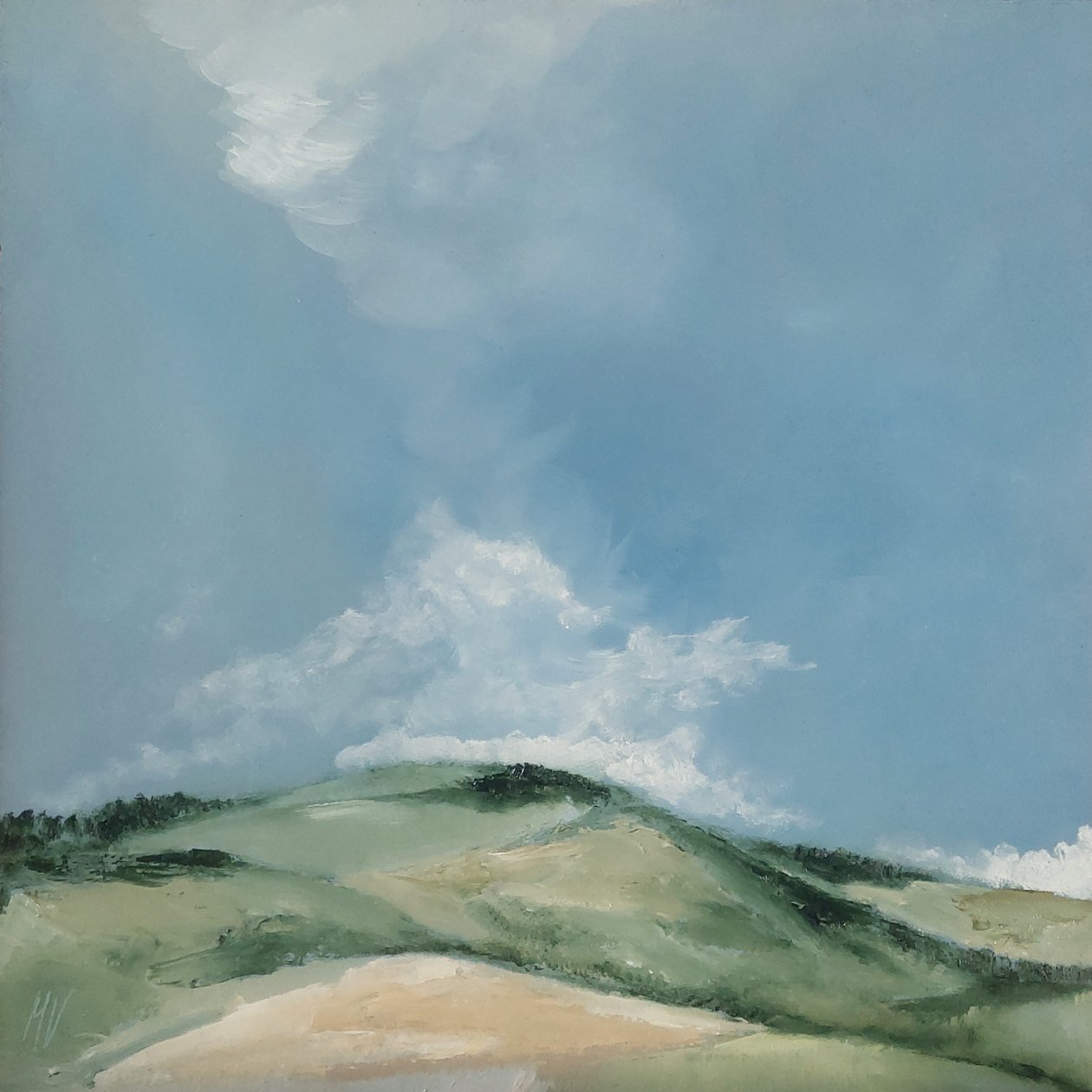 Colina Piana de M. Vet