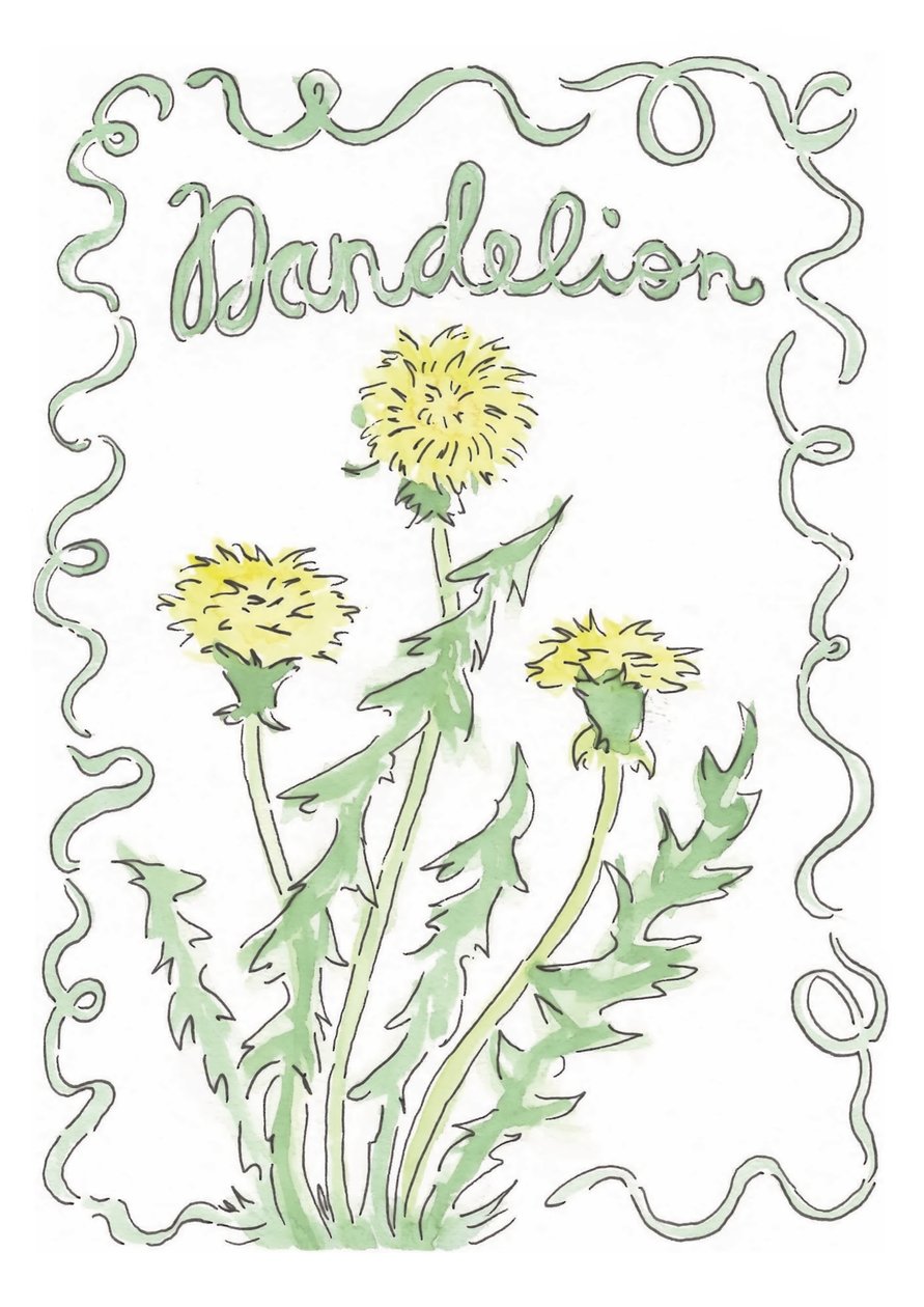 Diente de león de june art