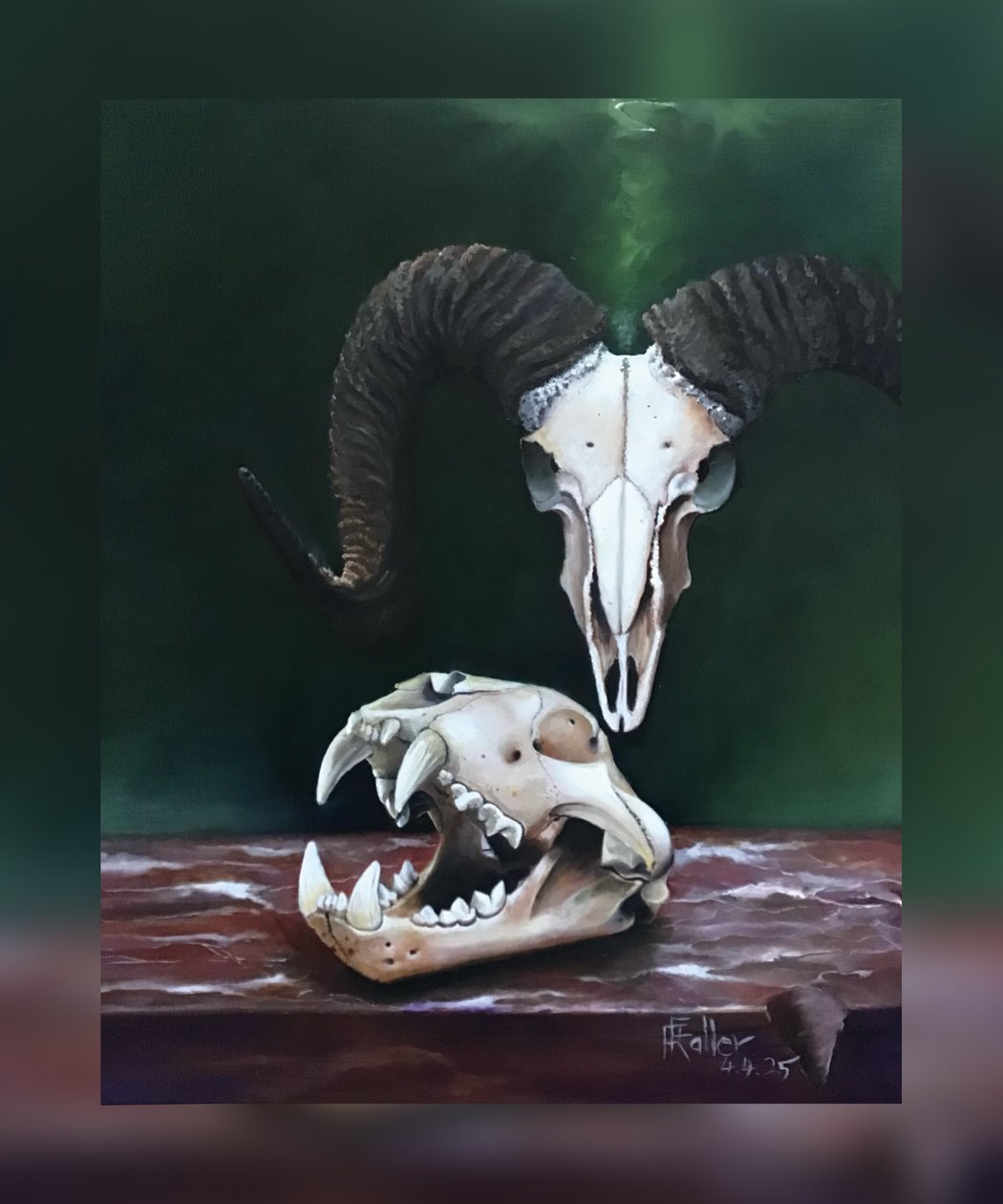 Memento mori (Estudio de cráneos de animales) de Faller Rüdiger - Tician