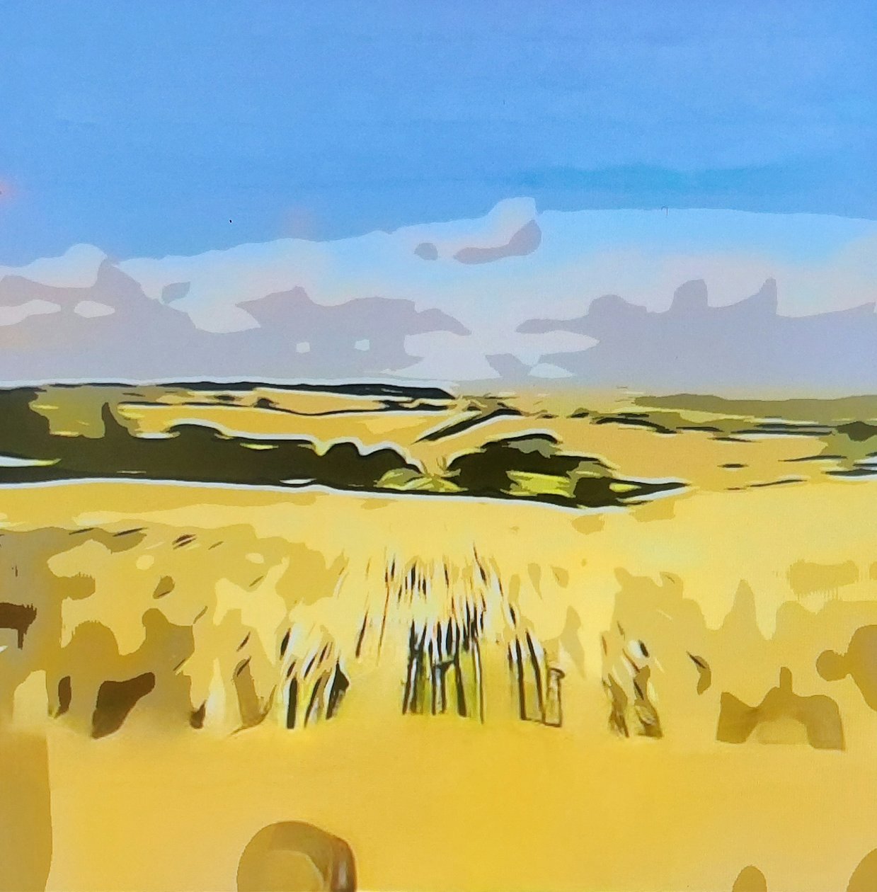 Digitale Landschaft 15 de M. Vet