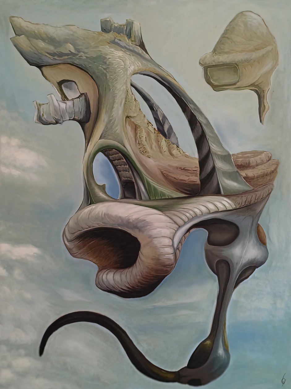 Levitas de Gabriel Ungureanu