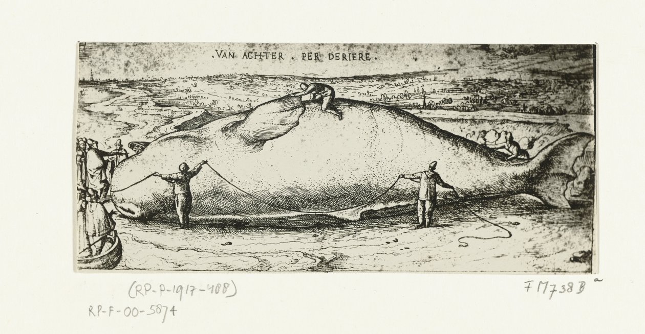 Impresión de la ballena varada cerca de Amberes, 2 de julio de 1577 de A.B. van Deinse