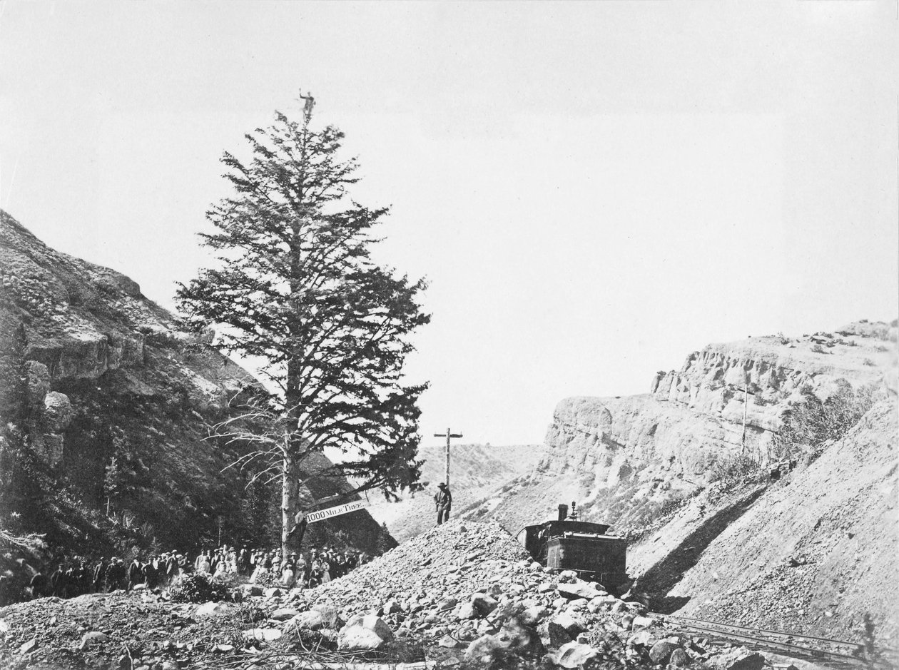 Árbol de Mil Millas, Paso de Wilhelmina de A.J. Russell