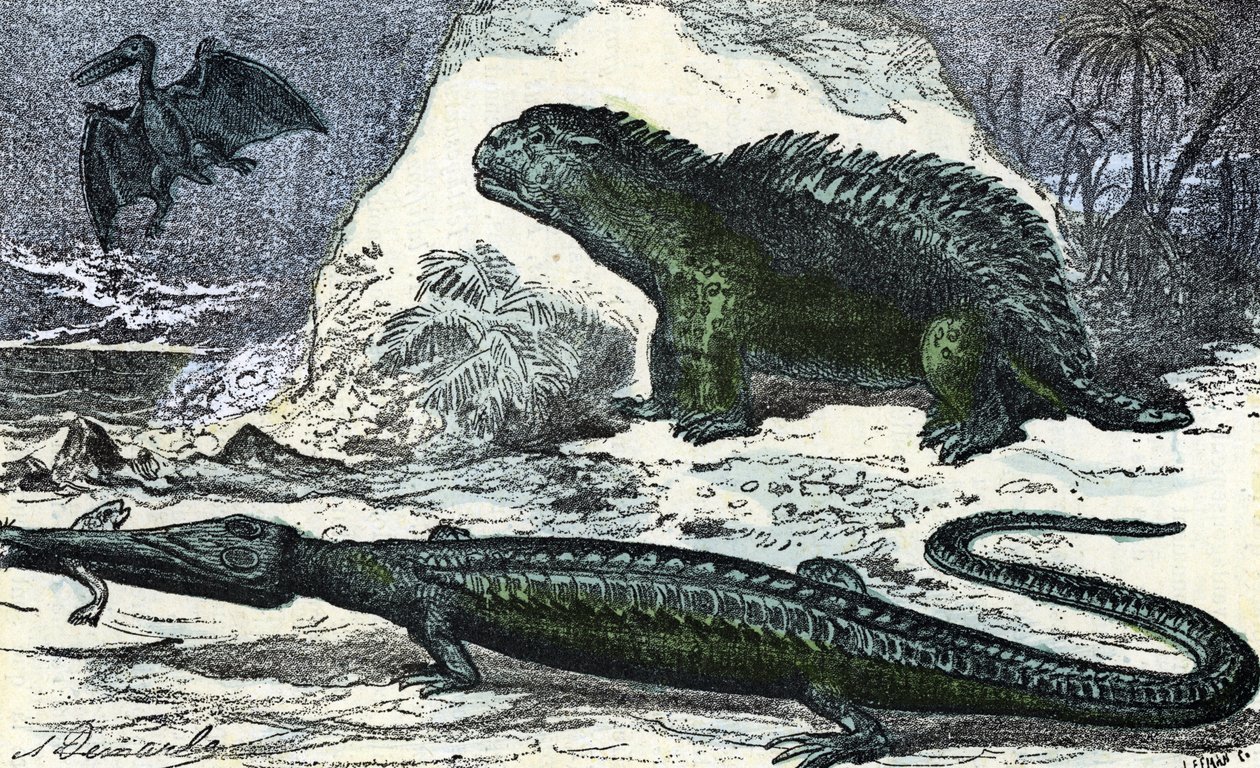 Prehistoria: representación de un teleosaurio (hocico alargado) y un hileosaurio del Jurásico" (Prehistoria, Jurásico: teleosaurio e hileosaurio) Grabado de "Nature and Man" de Rengade 1881 Colección particular de A. Demarle