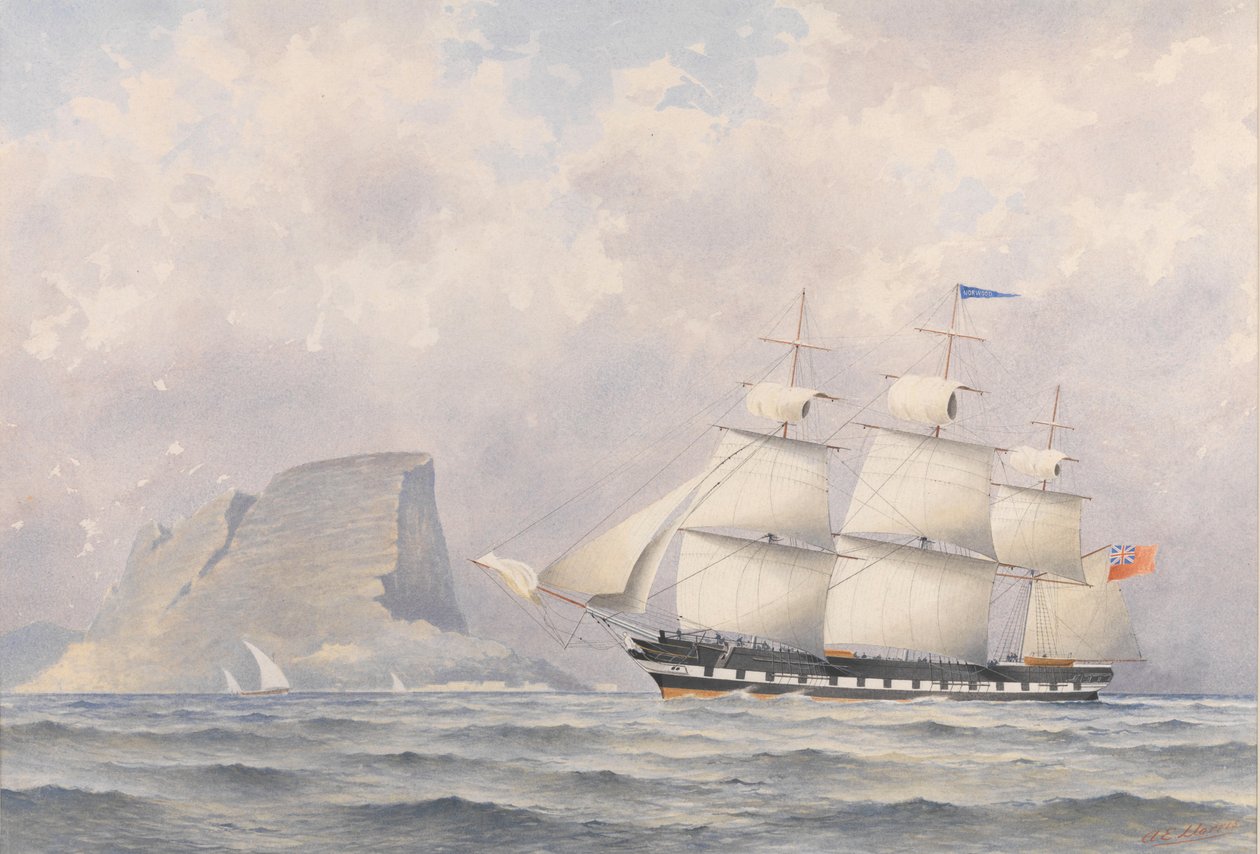 Clipper 