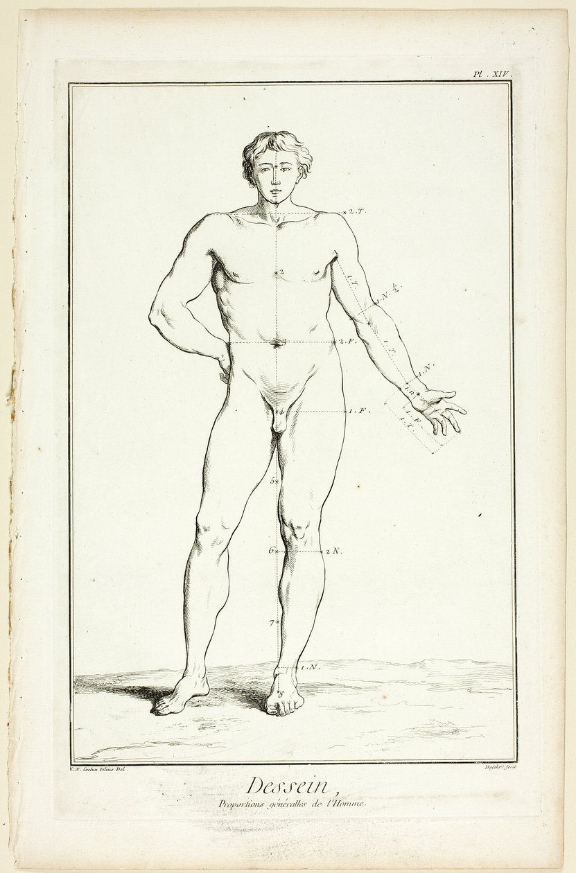 Diseño: Proporciones generales del varón, de Encyclopédie de A. J. Defehrt