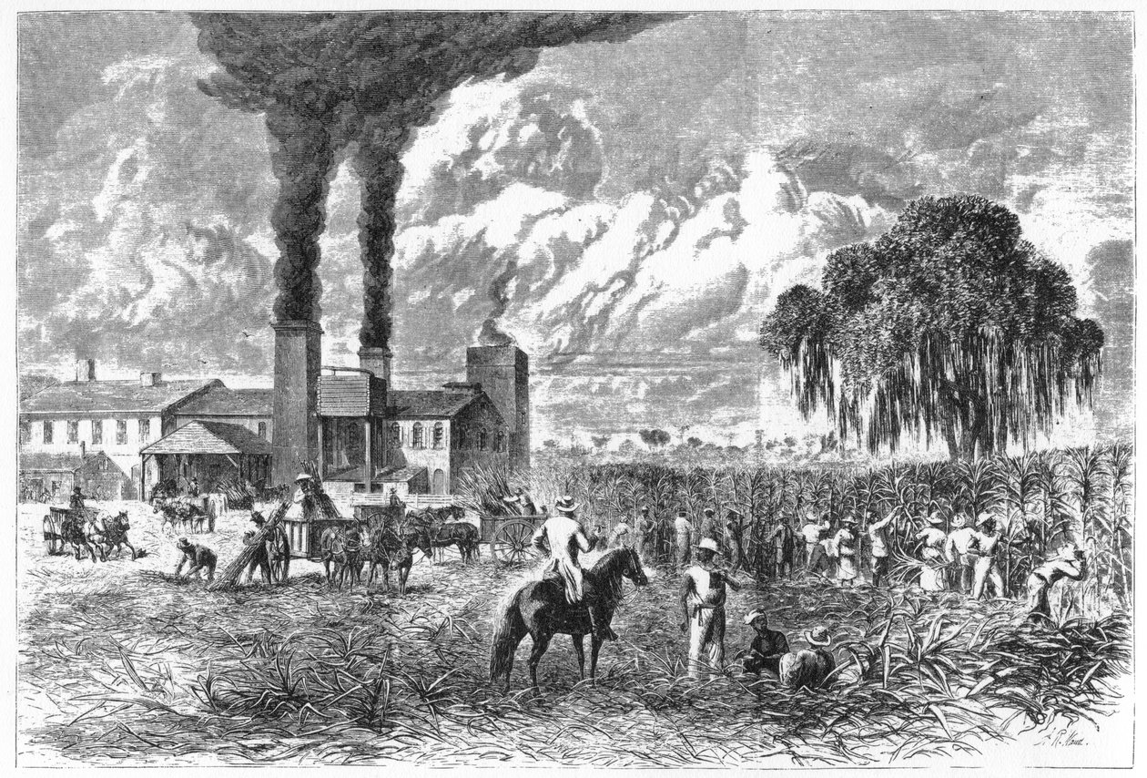 Plantación de azúcar, Nueva Orleans, 1870 de A. R. Ward