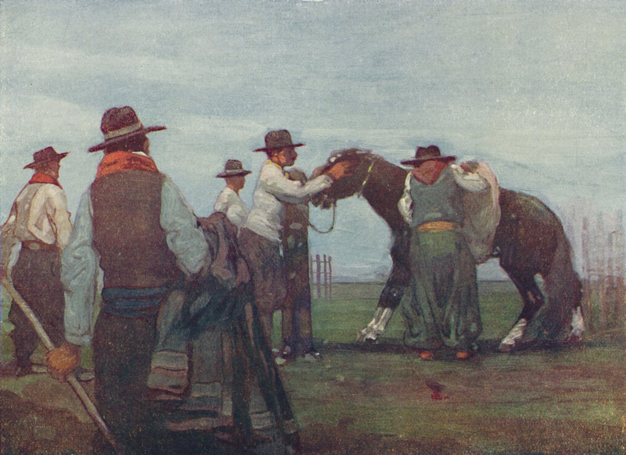 Gauchos domando un caballo joven, 1916 de A. S. Forrest