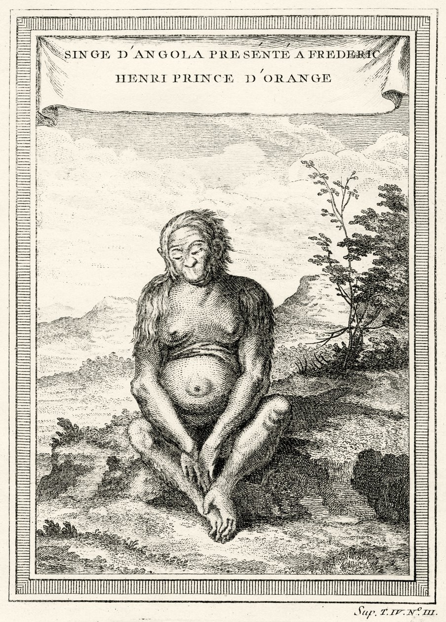 Ilustración del Orangután presentado a Federico Enrique, Príncipe de Orange, 1750 de Abbé Prévost
