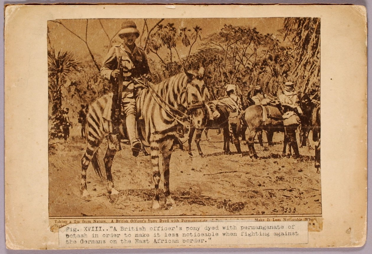 Caballo y crucero camuflados, carpeta de estudio para el libro La coloración oculta en el reino animal de Abbott Handerson Thayer