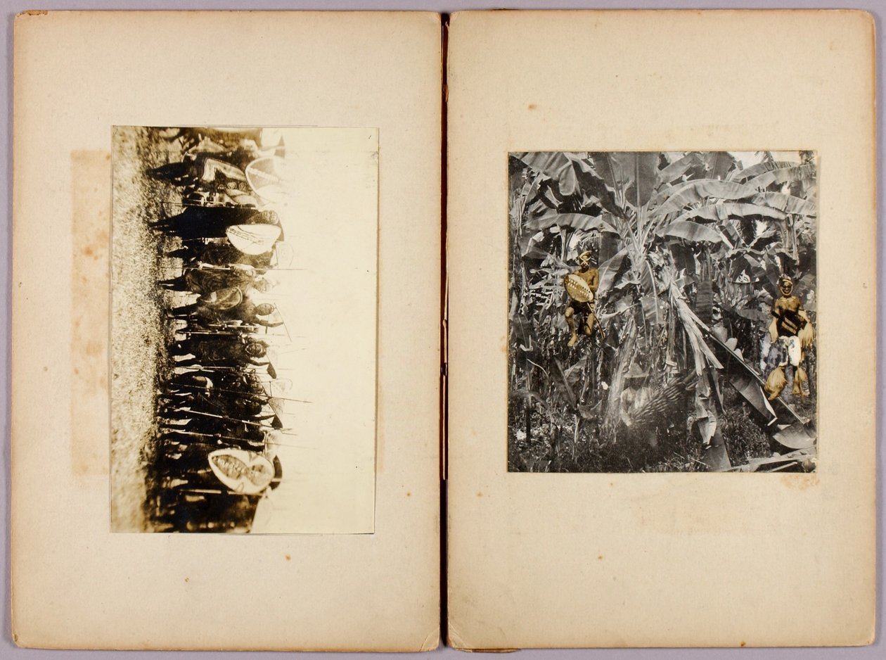 Maoríes y otros salvajes, carpeta de estudios para el libro Concealing Coloration in the Animal Kingdom de Abbott Handerson Thayer