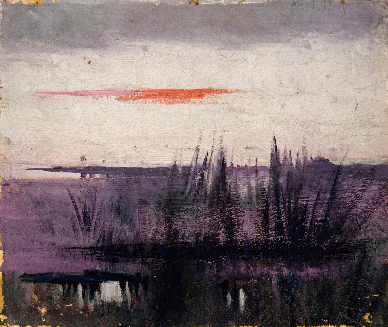 El cielo simulado por los flamencos blancos estudio para el libro, Ocultación de la coloración en el reino animal de Abbott Handerson Thayer