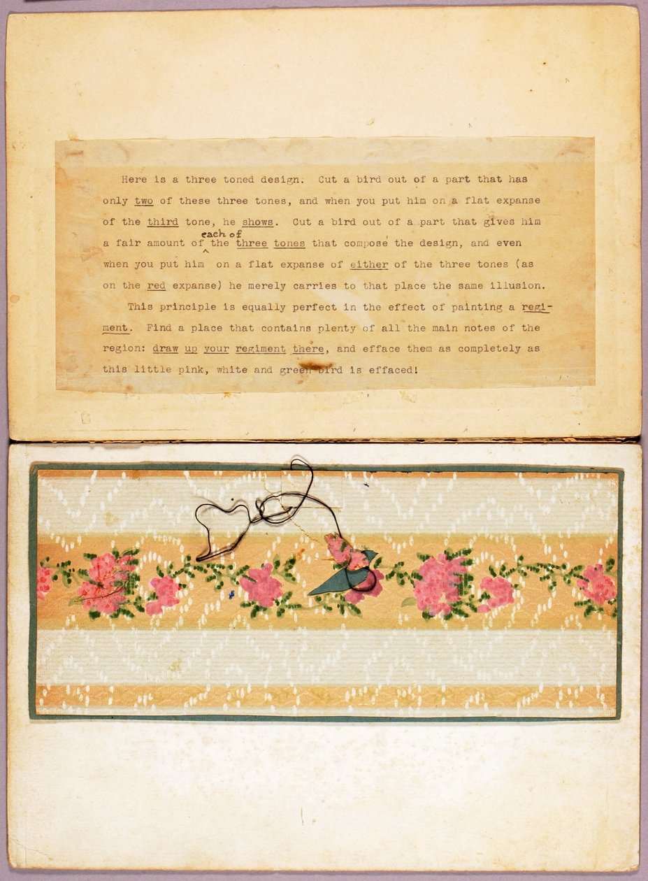 Diseño de un pájaro en tres tonos, carpeta de estudio para el libro «El camuflaje en el reino animal» de Abbott Handerson Thayer