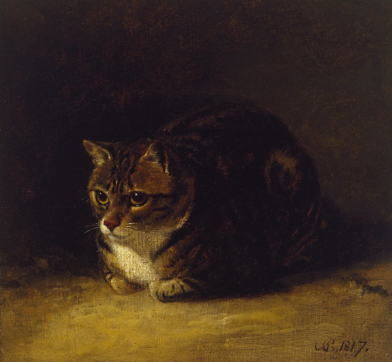 Estudio de un gato, 1817 de Abraham Cooper