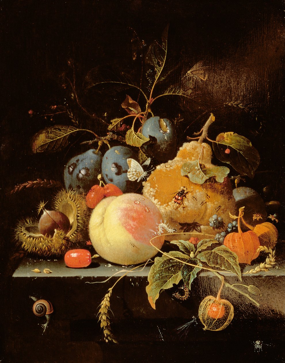 Bodegón de frutas y nueces en un borde de piedra de Abraham Mignon