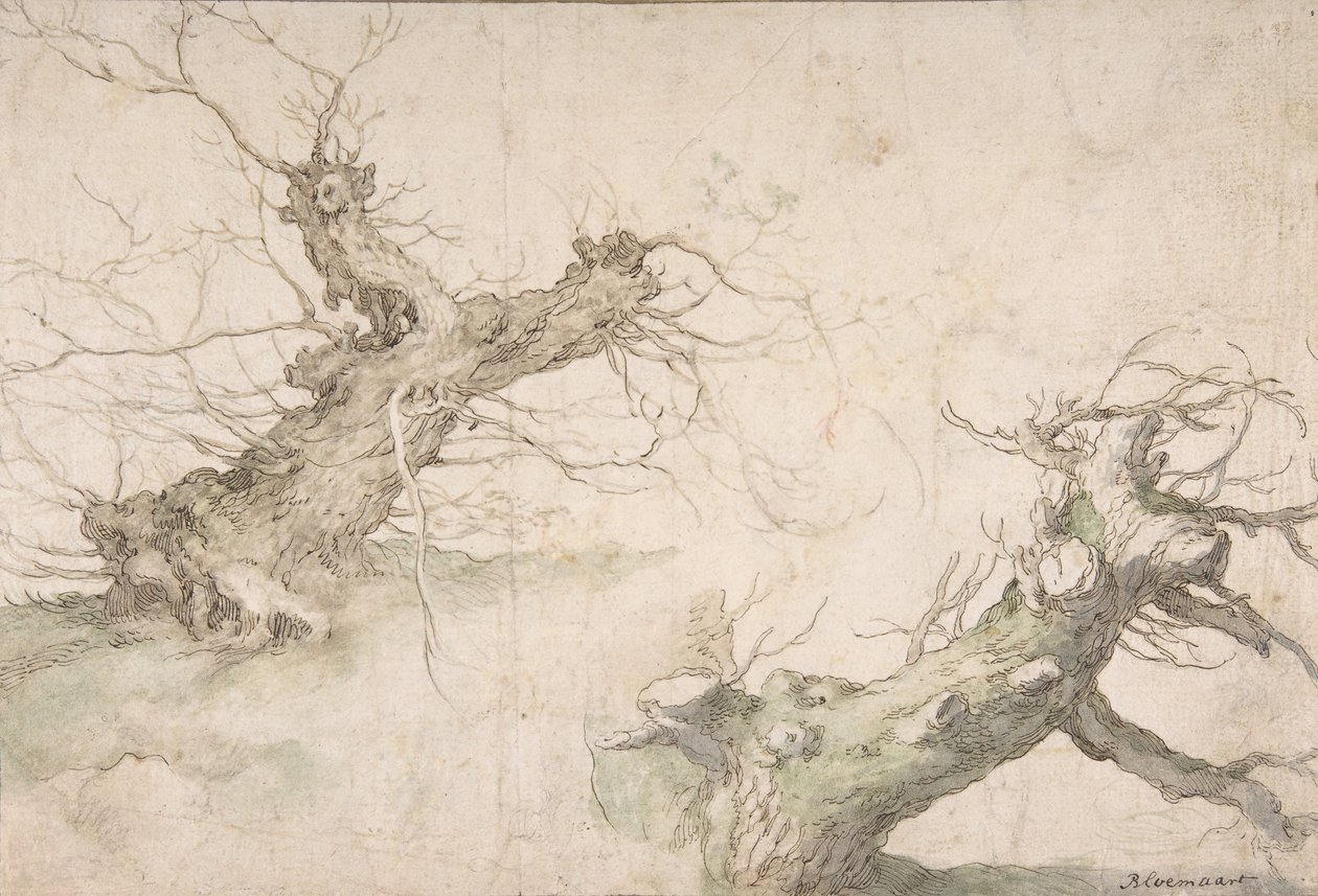 Estudios de dos sauces trasmochos, reverso: amplio paisaje, finales del siglo XVI-mediados del XVII de Abraham Bloemaert