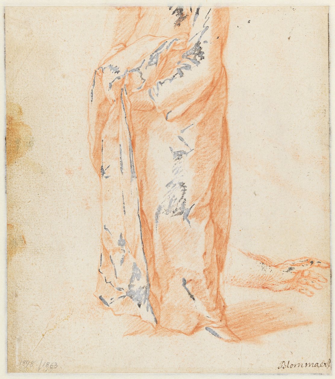 Estudios de una vaca de Abraham Bloemaert