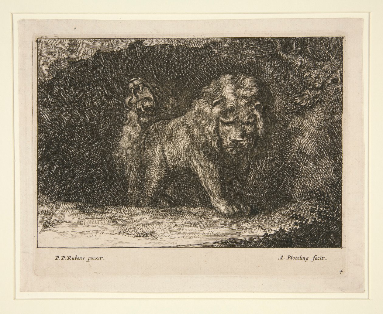 Leones. de la serie de Abraham Blooteling
