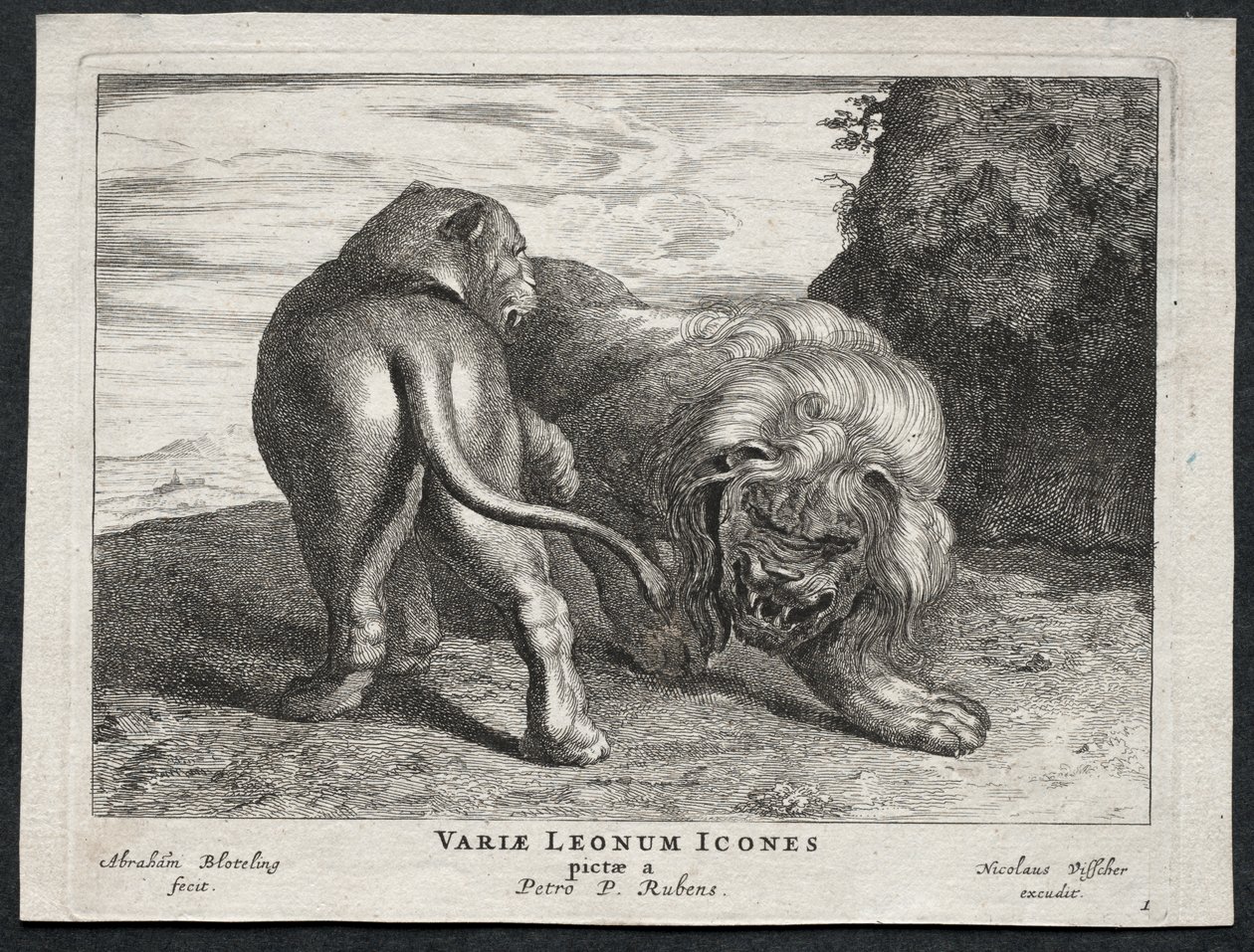 varios leones de Abraham Blooteling