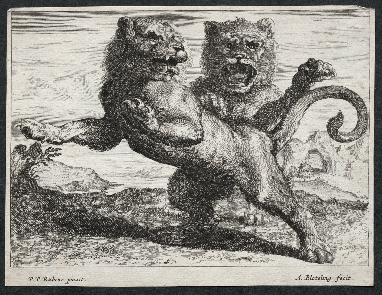 varios leones de Abraham Blooteling