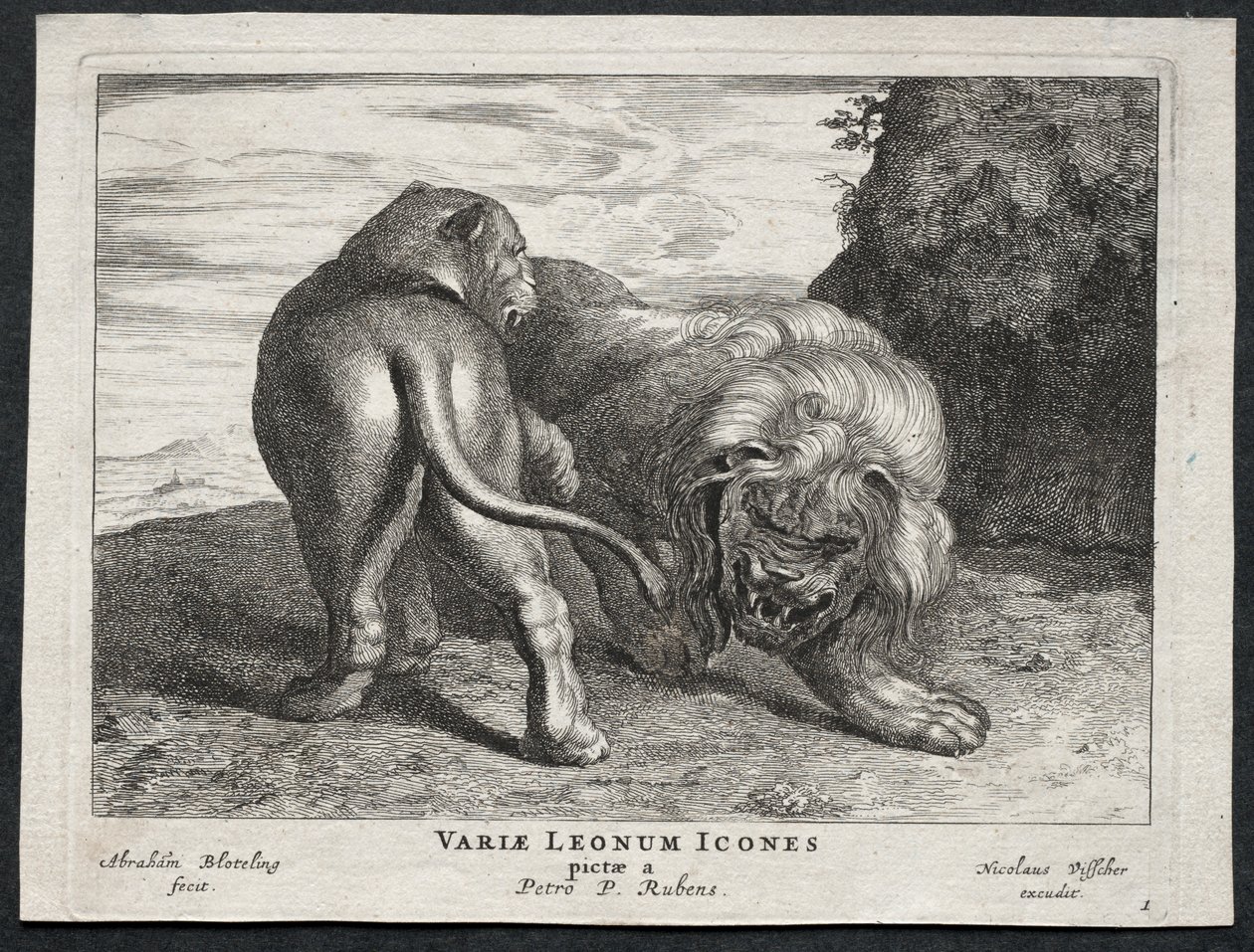 Varios leones de Abraham Blooteling