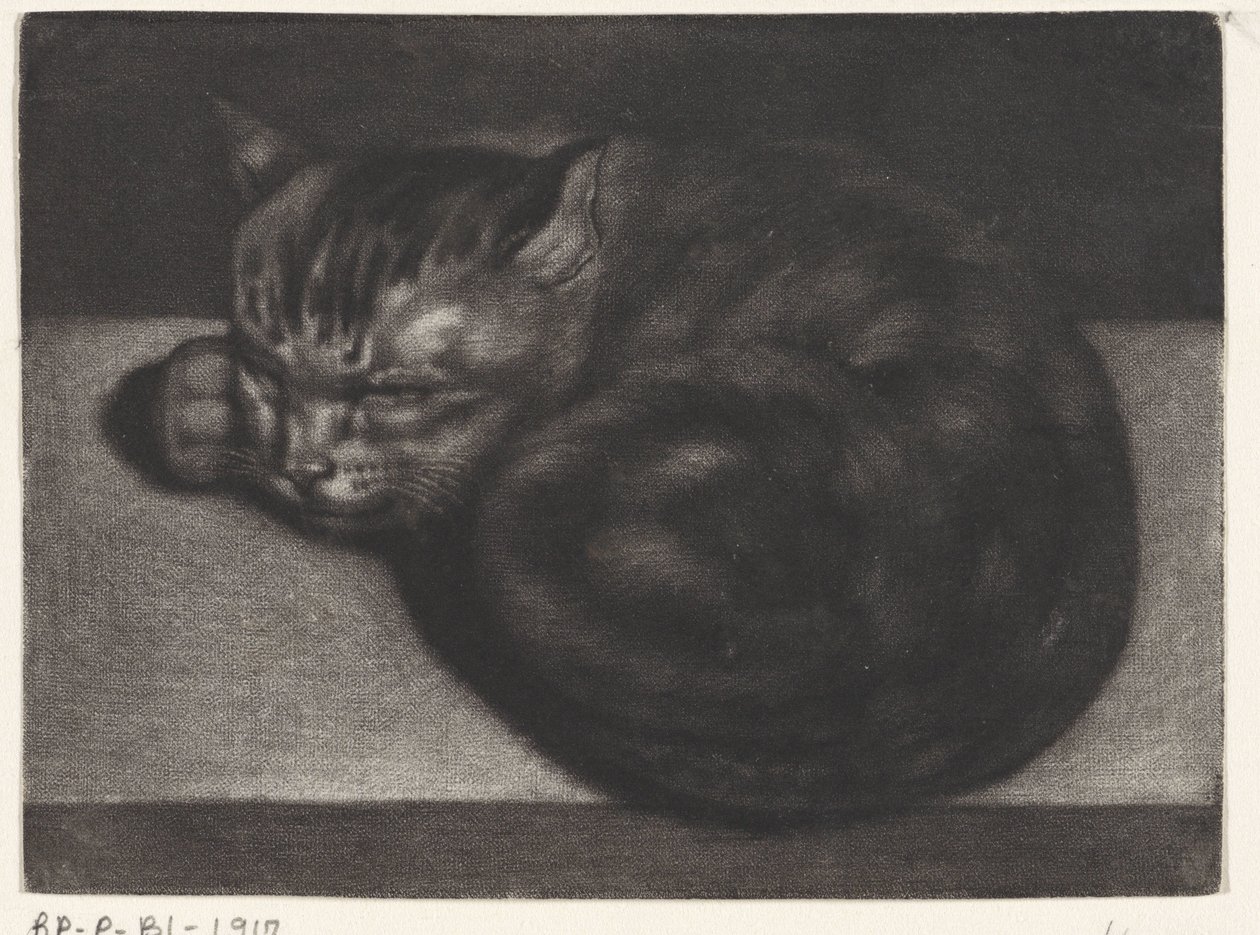 gato durmiendo de Abraham Bloteling
