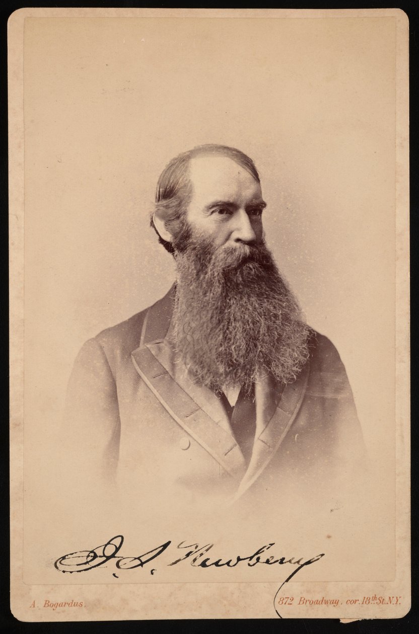 Retrato de John Strong Newberry 1822-1892, entre 1876 y 1887 de Abraham Bogardus