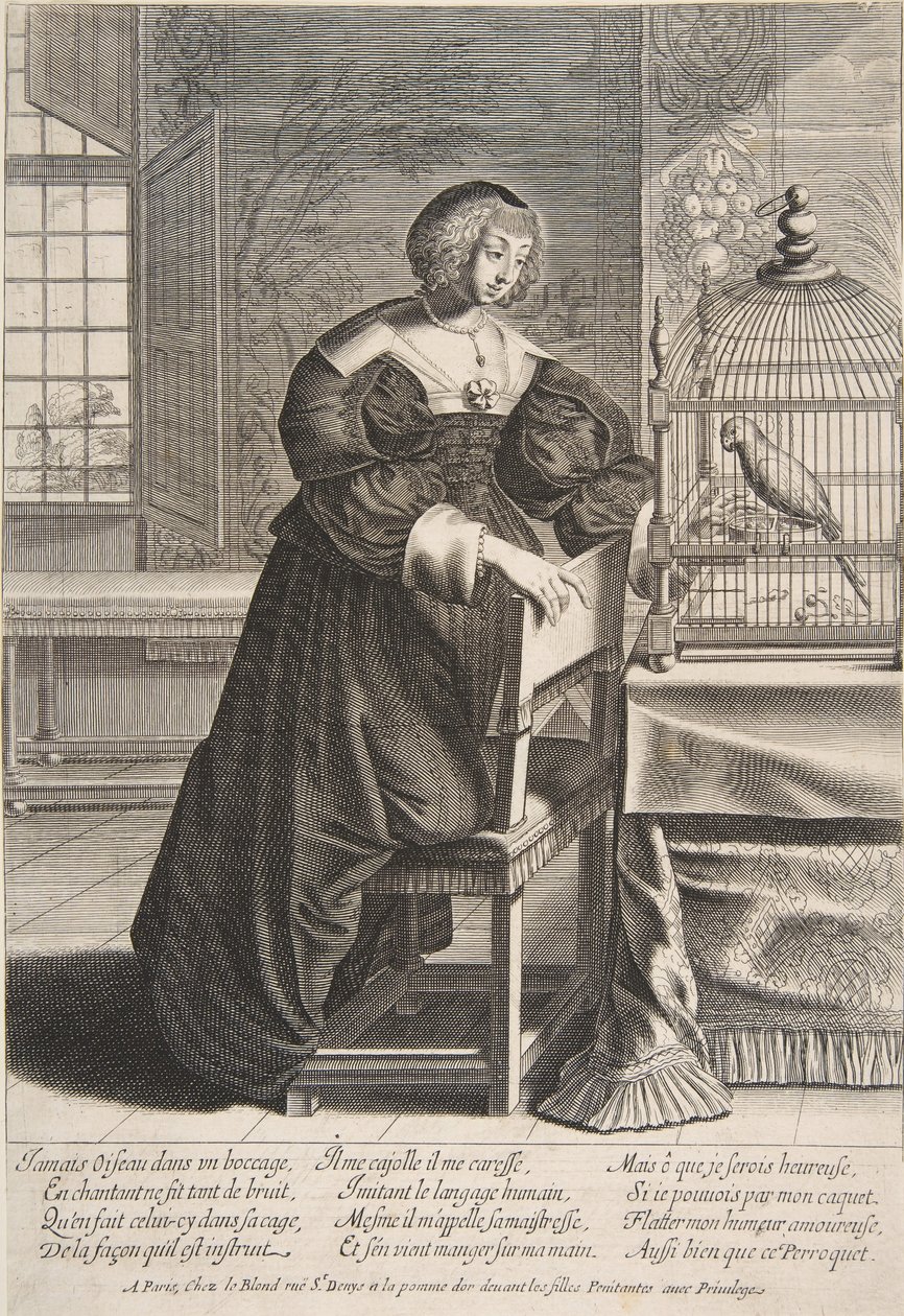 El loro, 1620-76 de Abraham Bosse