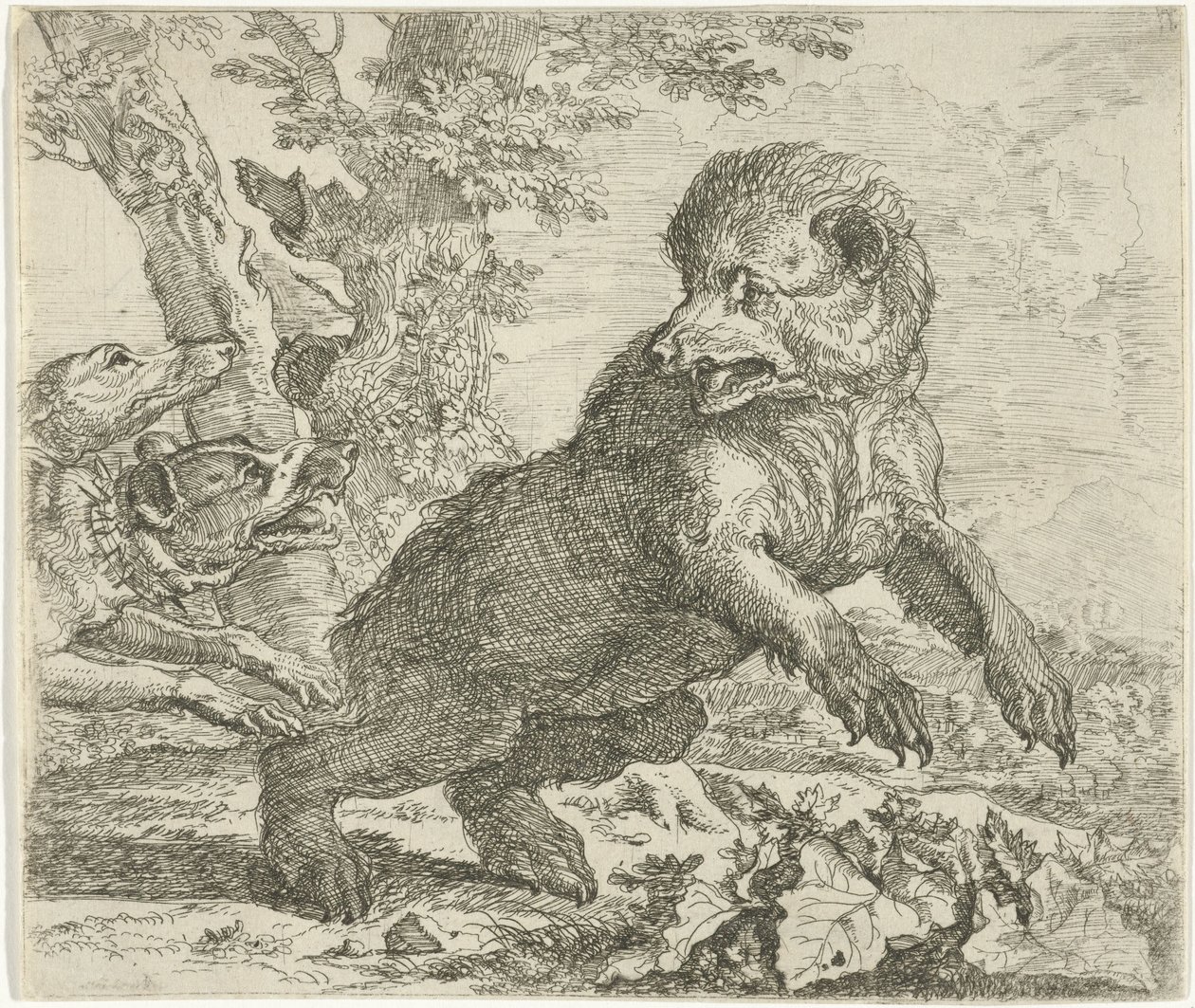 Oso atacado por perros Diferentes animales (título de la serie) de Abraham Danielsz. Hondius