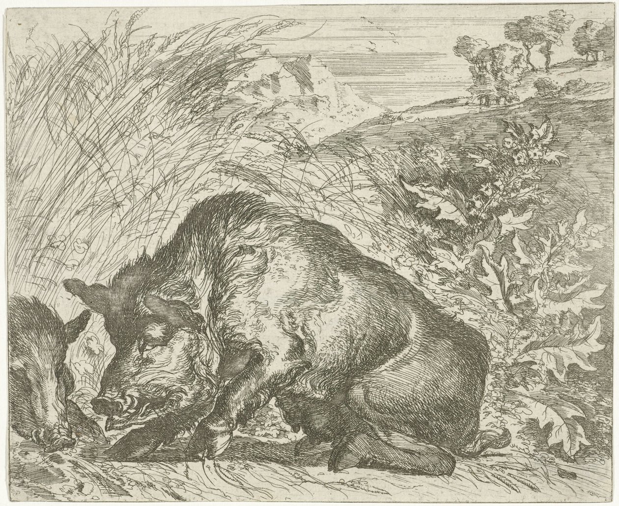 Jabalí Diferentes animales (título de la serie) de Abraham Danielsz. Hondius