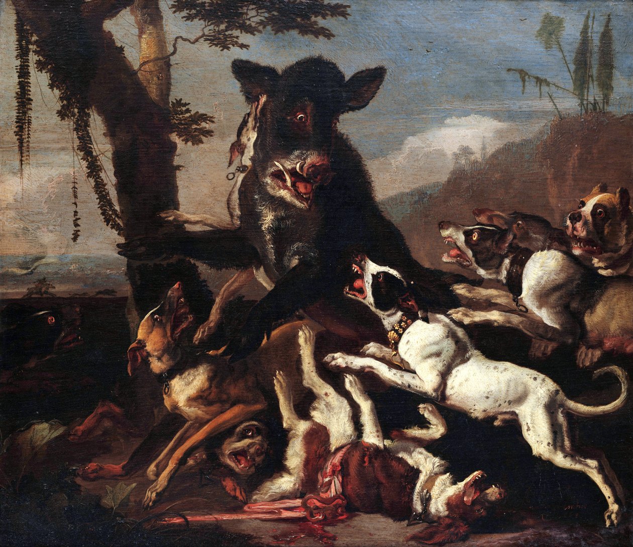 Caza del jabalí de Abraham Hondius