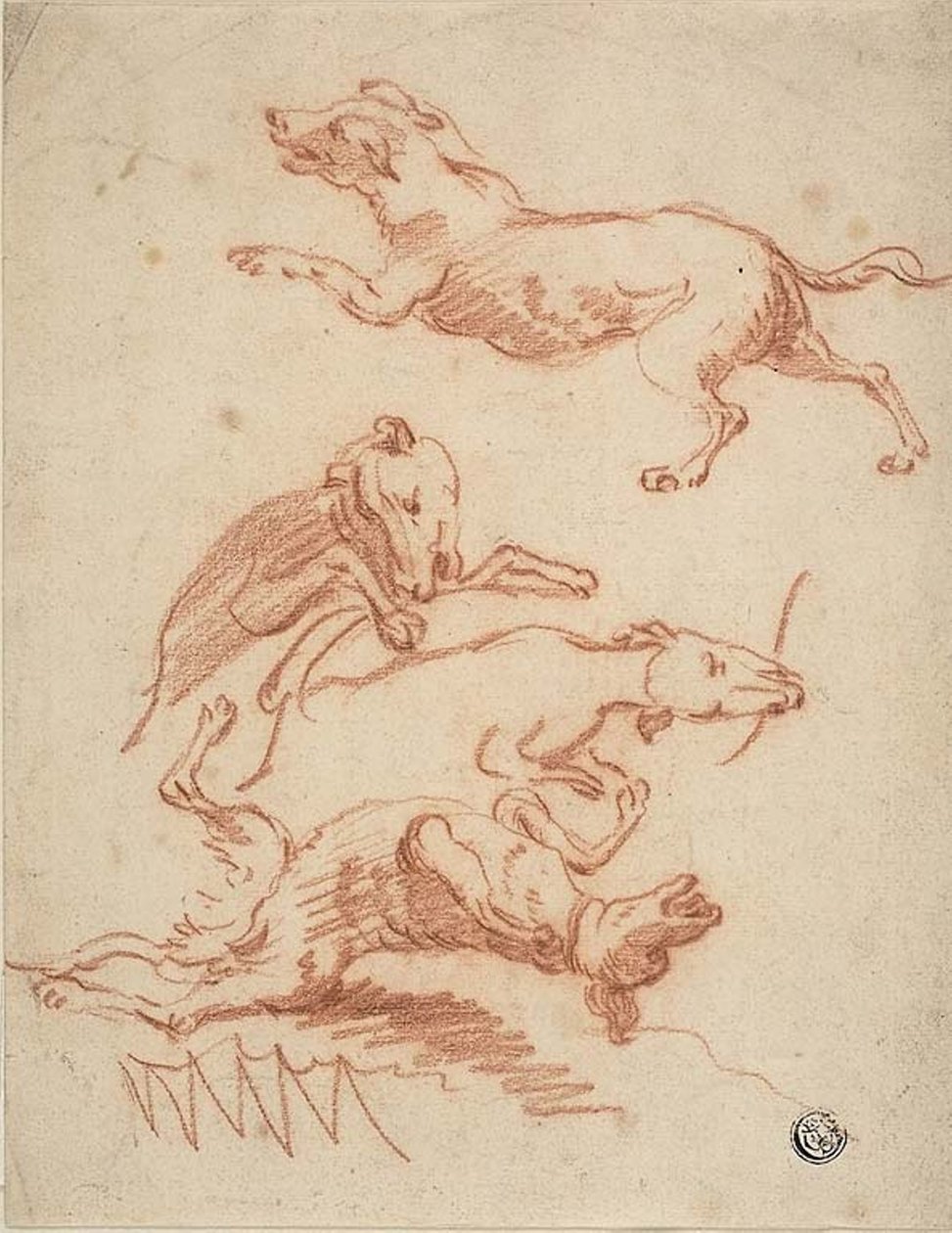 Bocetos de Perros Jugando de Abraham Hondius