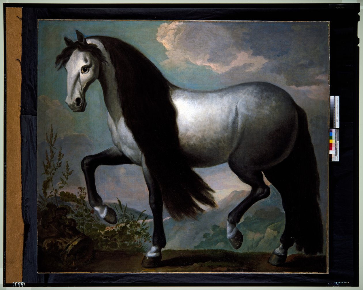 Caballo en un paisaje de Abraham Jansz. van Diepenbeeck